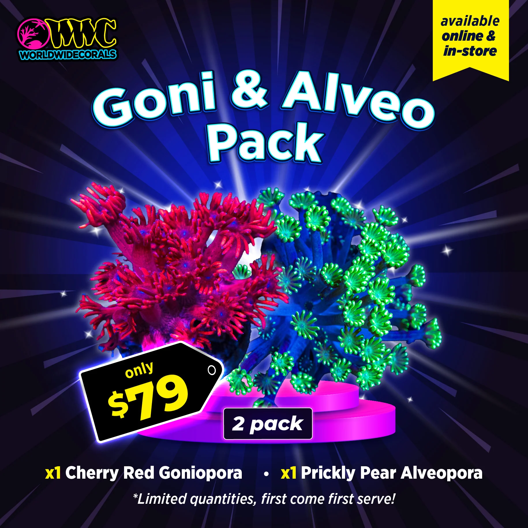 Year End Sale Packs